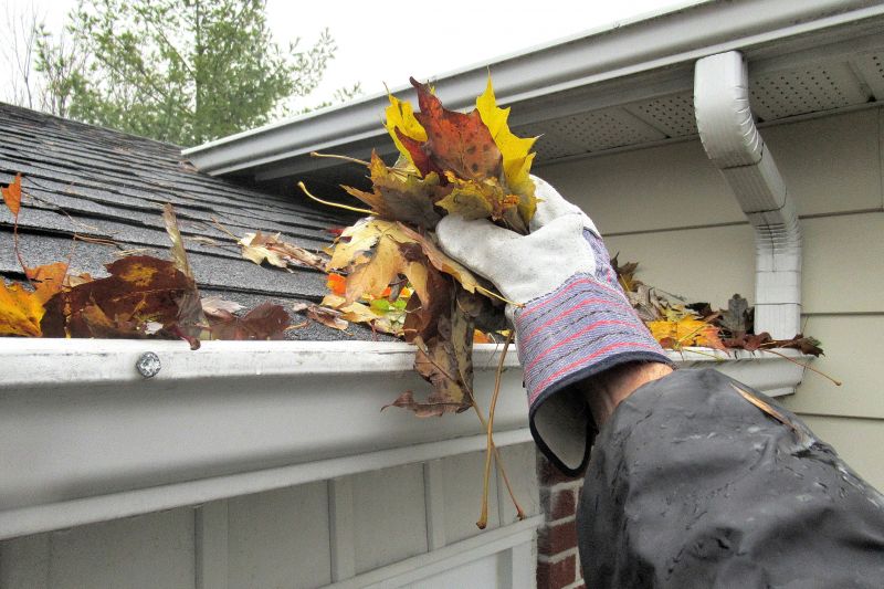 Contact Local Gutter Experts Today